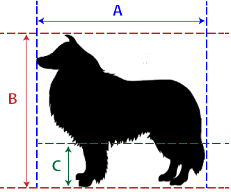 Airline Kennel Size Chart