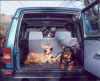 Supertrim Protecta Liner 4WD Supertrim Protecta Liner 4WD