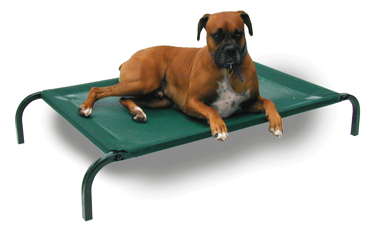 Sofas For Dogs Griffins Co Uk Elevated Dog Beds Autos Post Sofas For Dogs Thirkleby Suitable