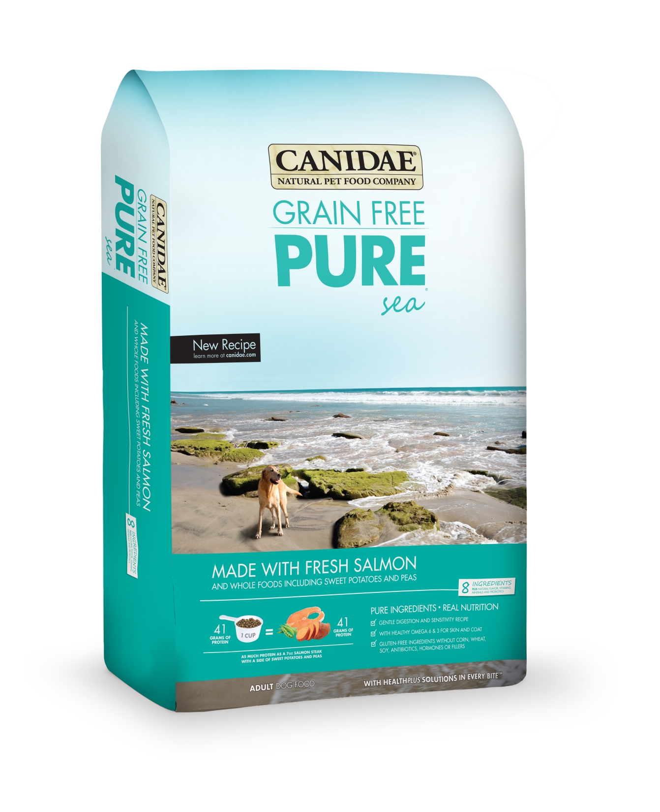 canidae sea