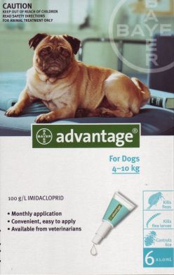 Advantage medium dog online