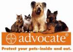 Advocate Dog