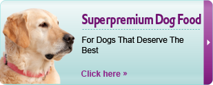 Premium Dog Food