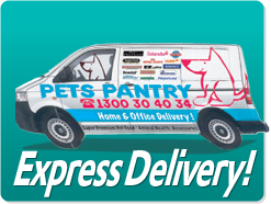 Express Delivery